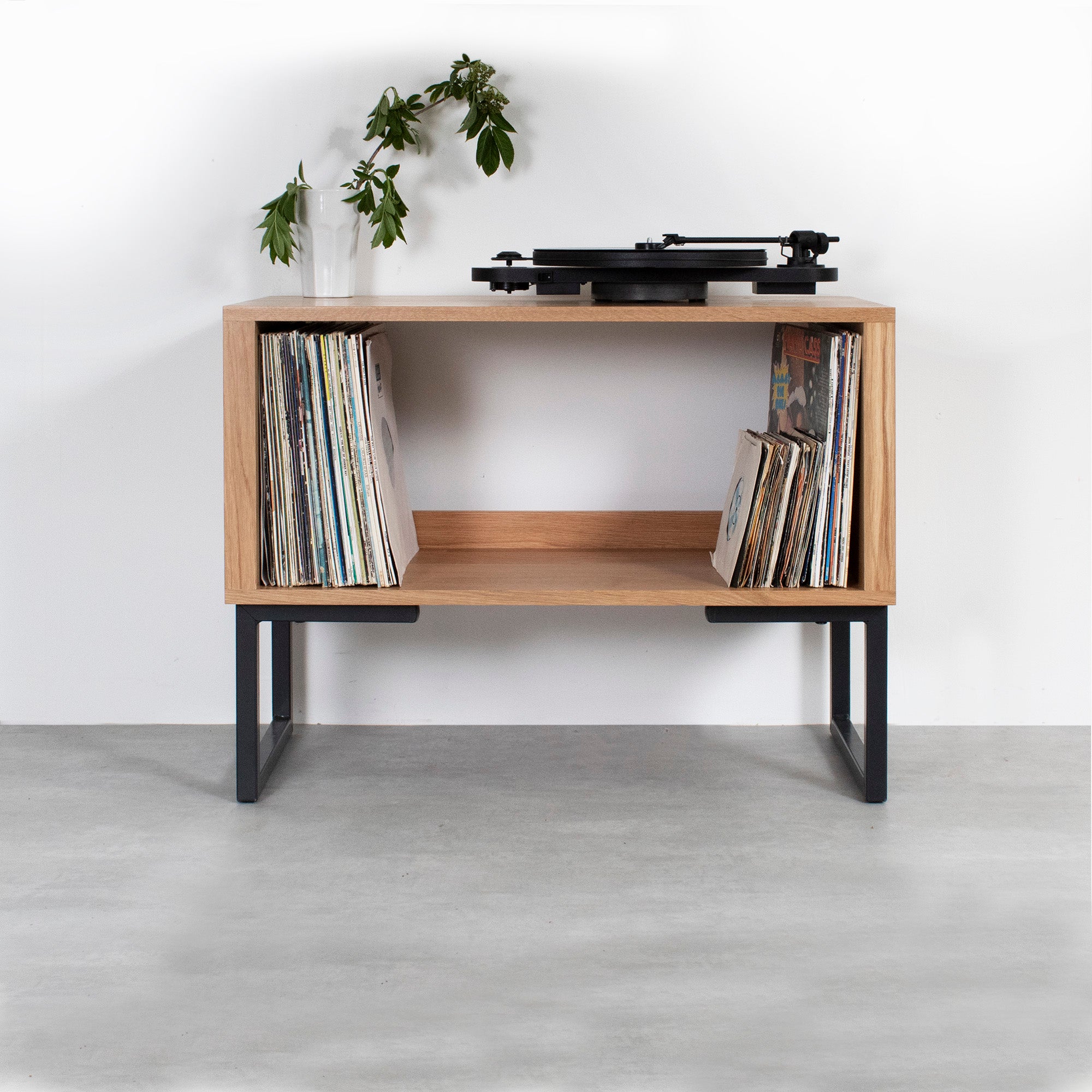 Vinyl record storage deals furniture